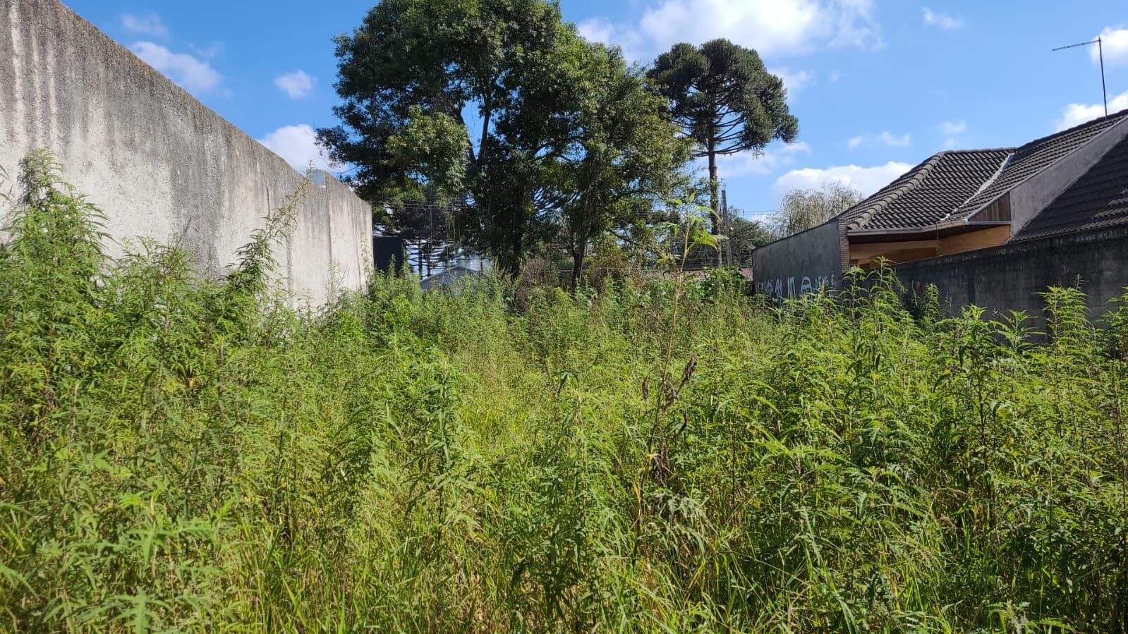 Lote/Terreno em Curitiba - Santa Cândida