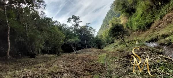 Terreno com 20 hectares