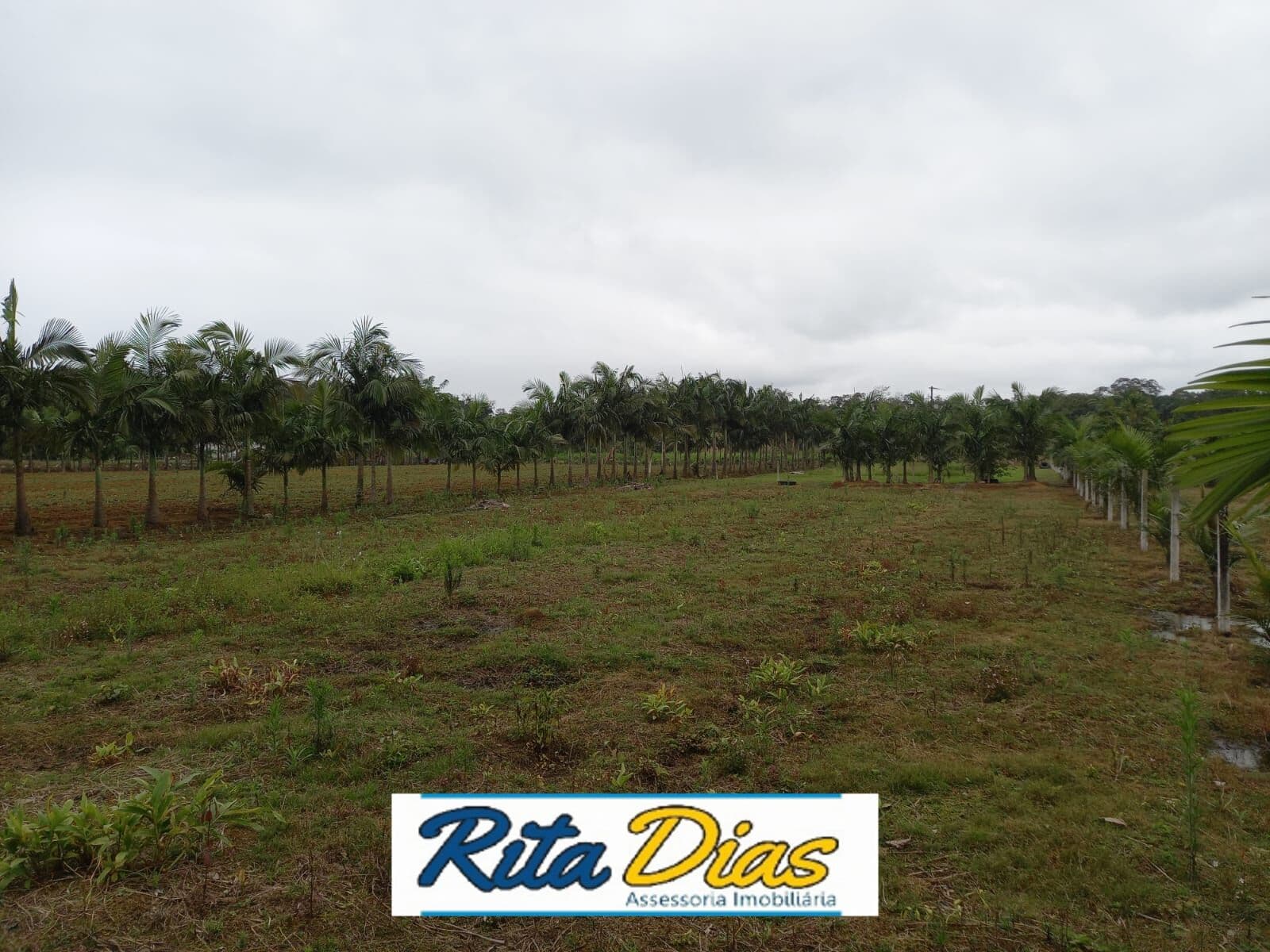 Lote/Terreno em Morretes - PONTE ALTA