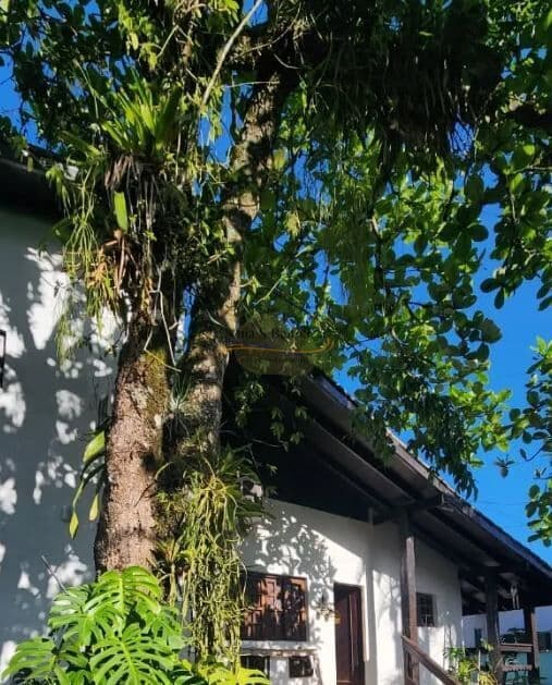 Casa Área Verde - Cambury - Litoral Norte - São Sebastião/SP.