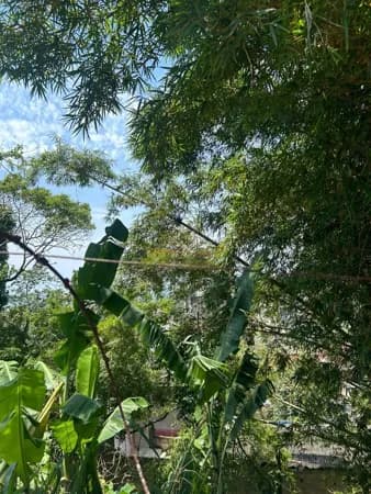 Terreno em Condomínio - Enseada - Guarujá/SP.