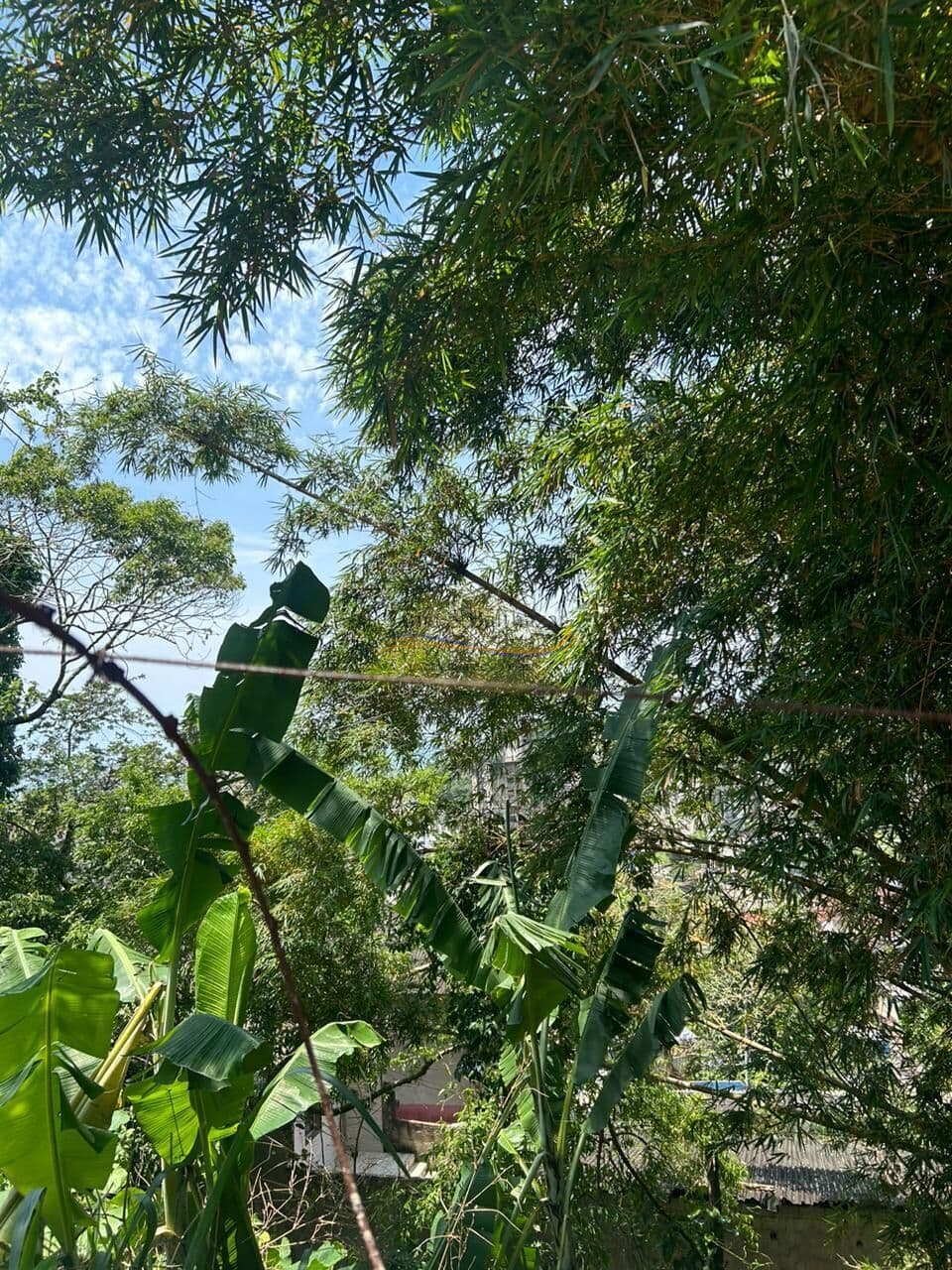 Terreno em Condomínio - Enseada - Guarujá/SP.