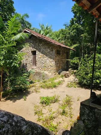 Sítio / Terreno Bonete Ilhabela