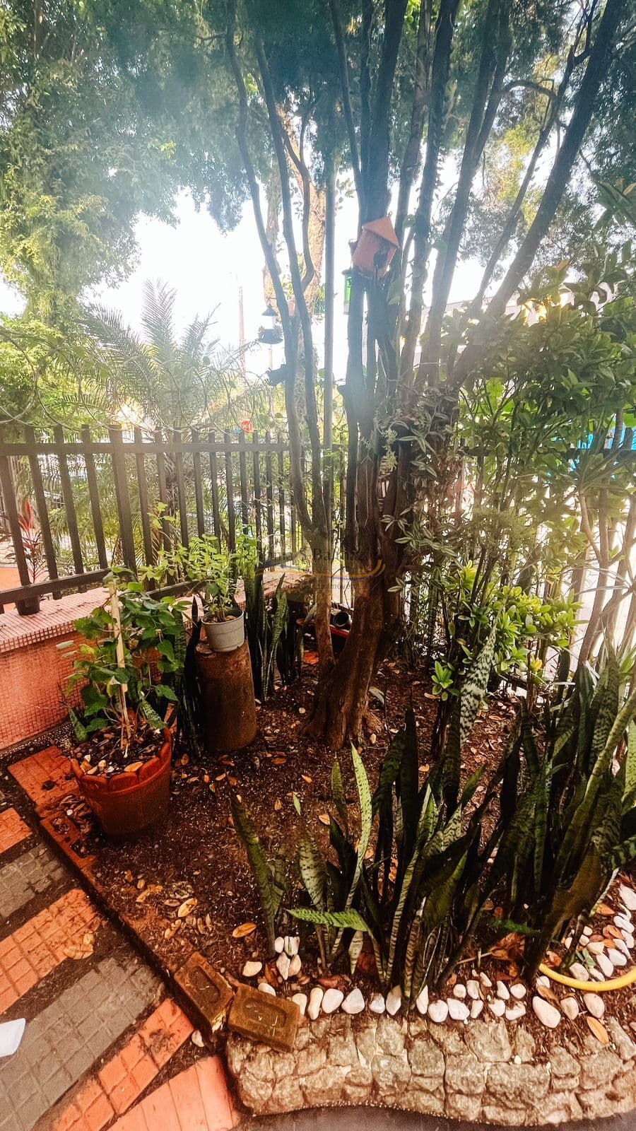 Sobrado bem conservado - Próximo Av. Ana Costa, em Santos/SP.