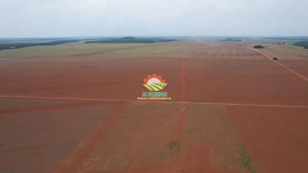Fazenda 540 Hectares MT