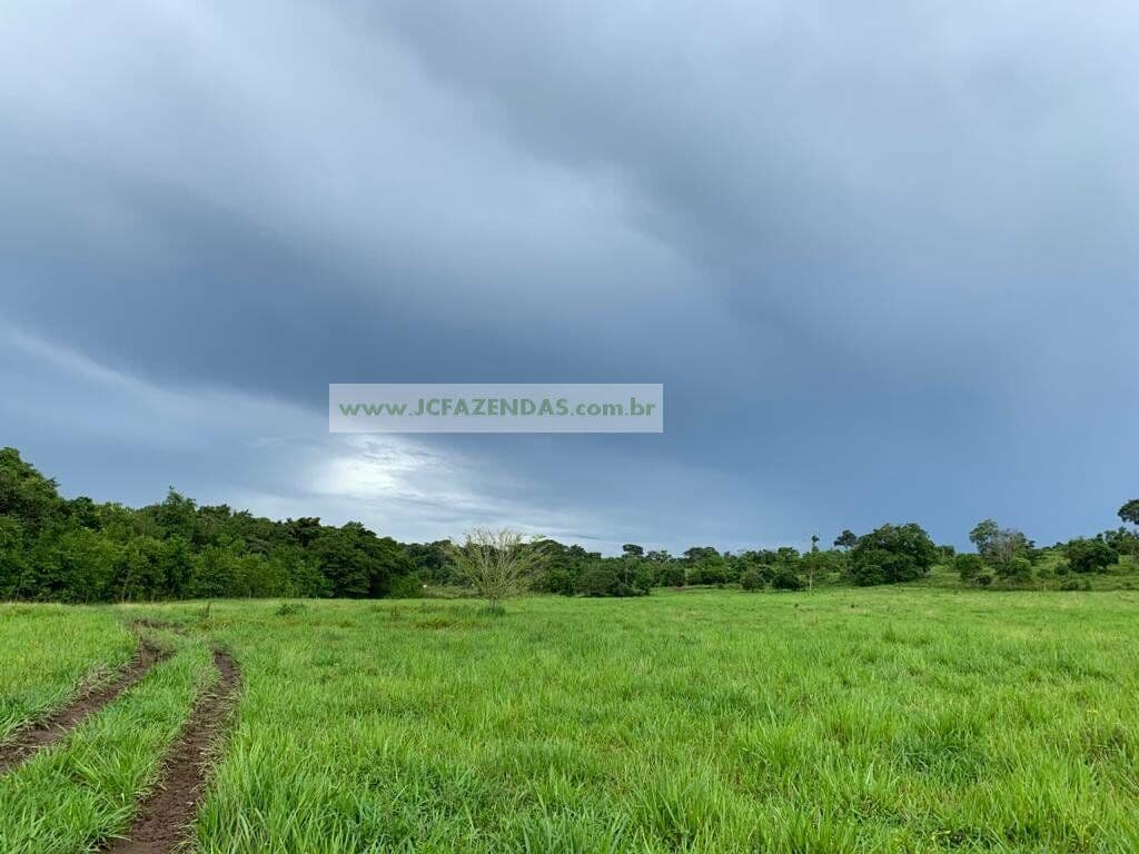 Fazenda-para-Venda-em-Centro-Rosario-Oeste-MT