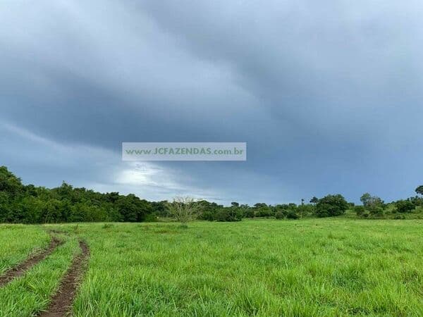 Fazenda-para-Venda-em-Centro-Rosario-Oeste-MT