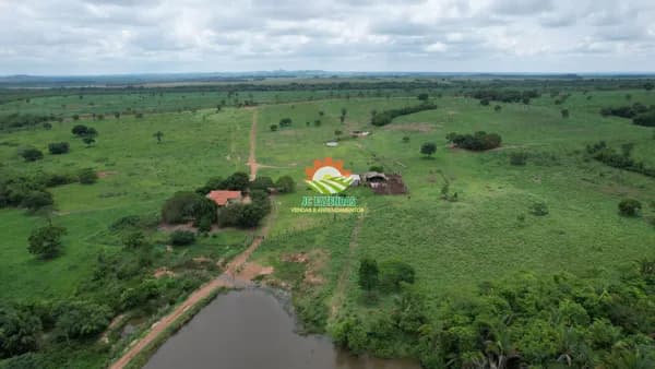Fazenda 497 Hectares P/ Pecuaria - MT