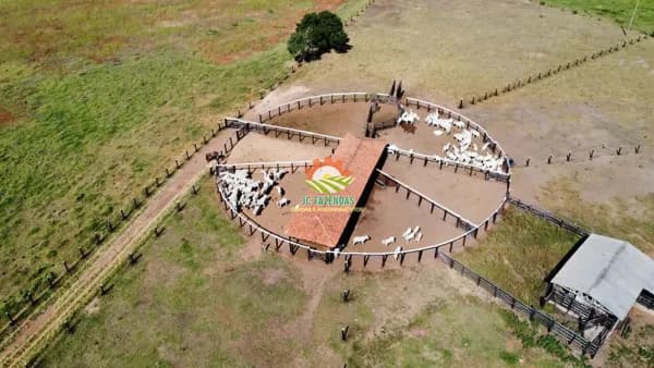 Fazenda 700 Hectares