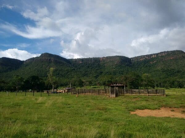 Fazenda-para-Venda-em-Centro-Rosario-Oeste-MT