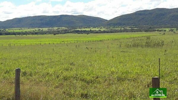 Fazenda-para-Venda-em-Centro-Caceres-MT