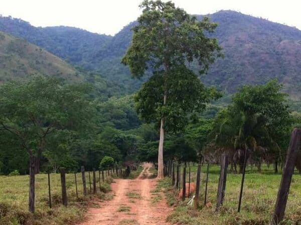 Sitio-para-Venda-em-Centro-Acorizal-MT