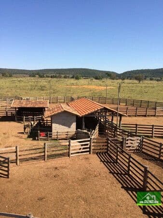 Fazenda-para-Venda-em-Centro-Porto-Esperidiao-MT