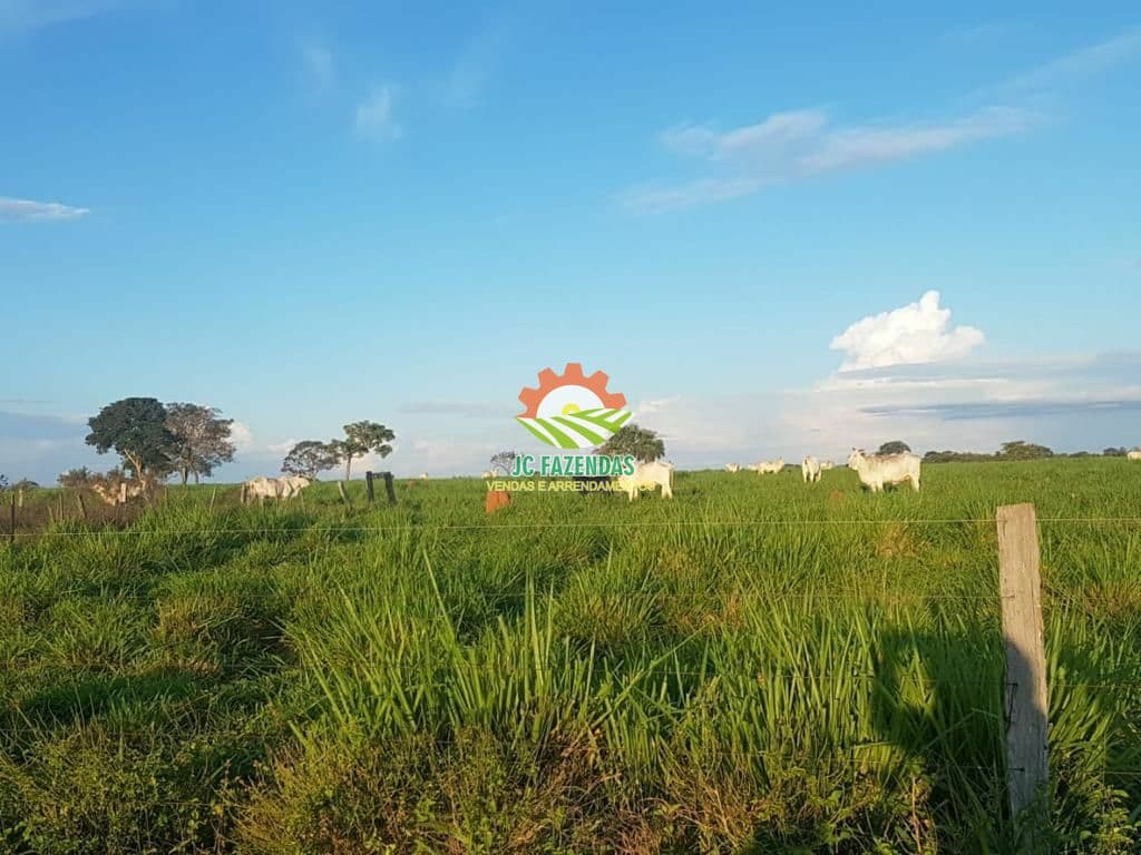 Fazenda Fazenda