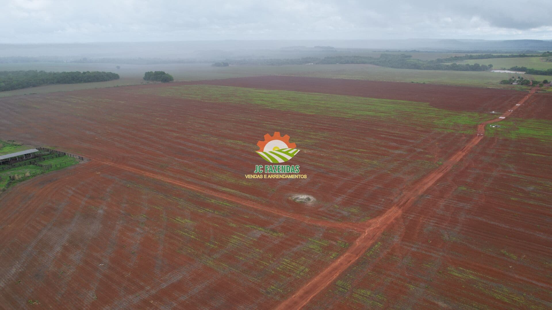 Fazenda 1.000 Hectares MT