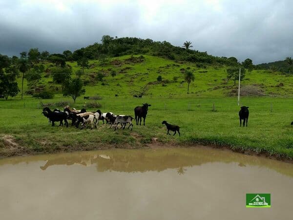 Fazenda-para-Venda-em-Palmeiras-Santo-Antonio-do-Leverger-MT