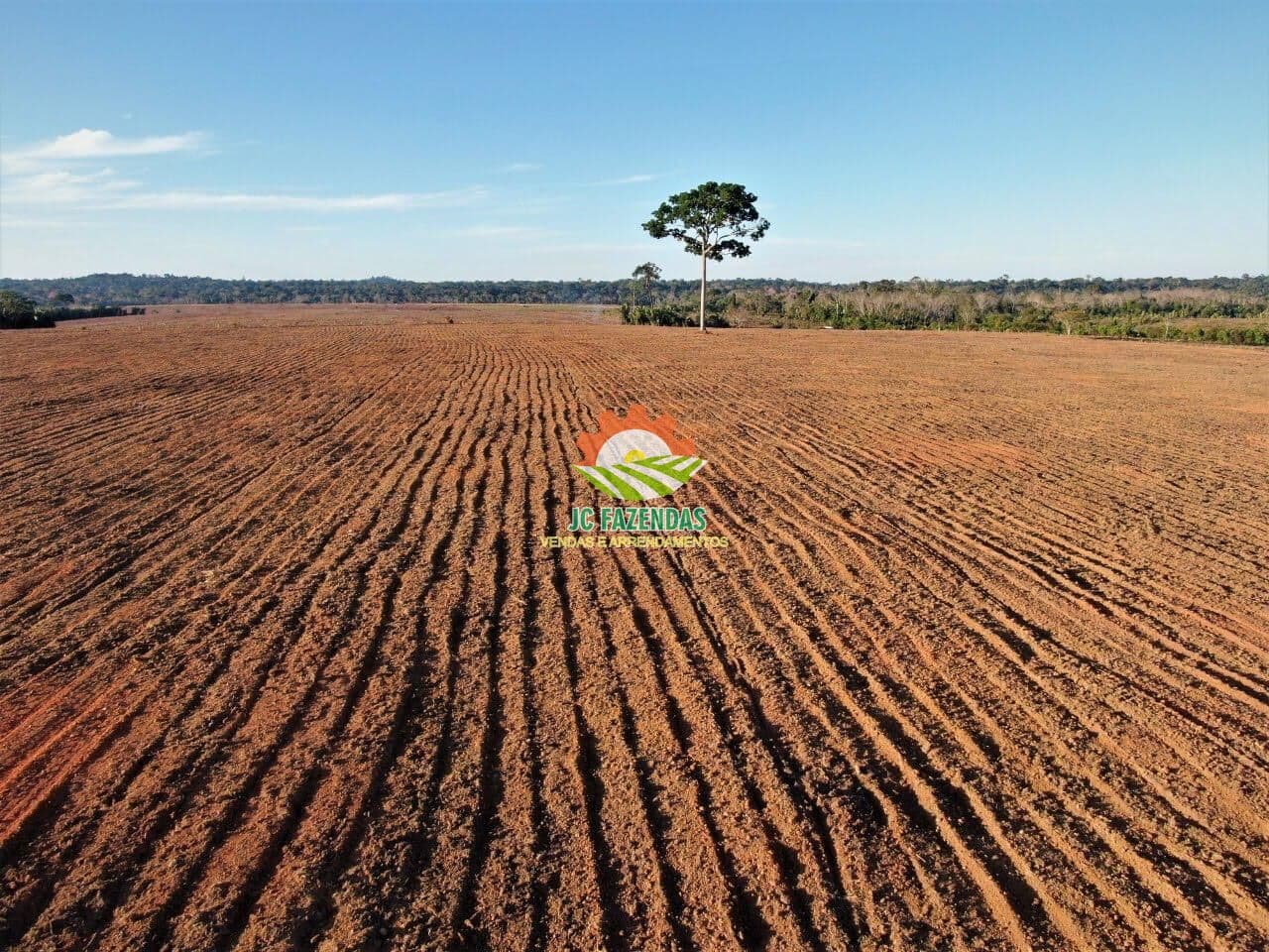 Fazenda Plantando Lavoura - Mato Grosso