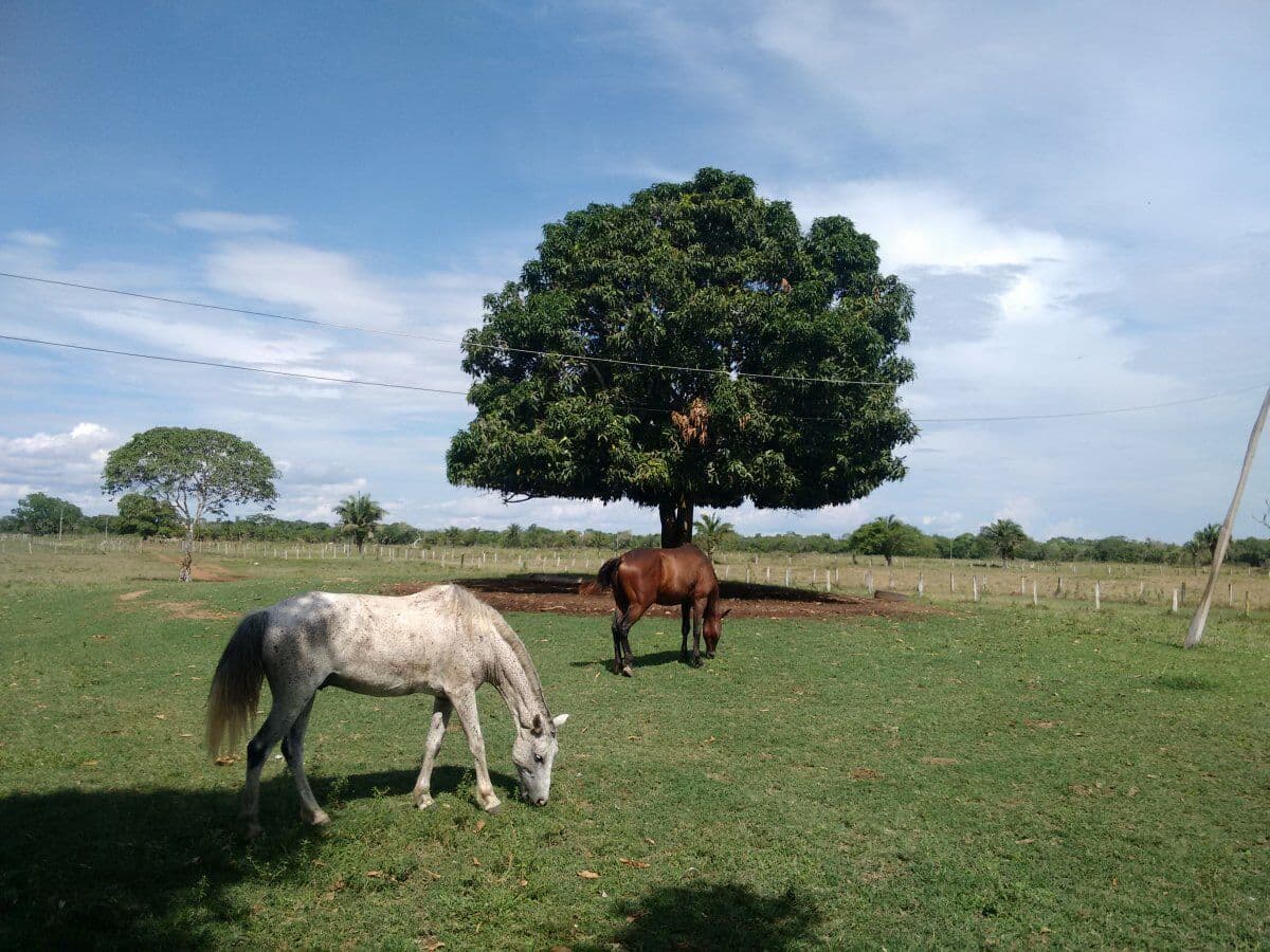 Fazenda-para-Venda-em-Centro-Pocone-MT