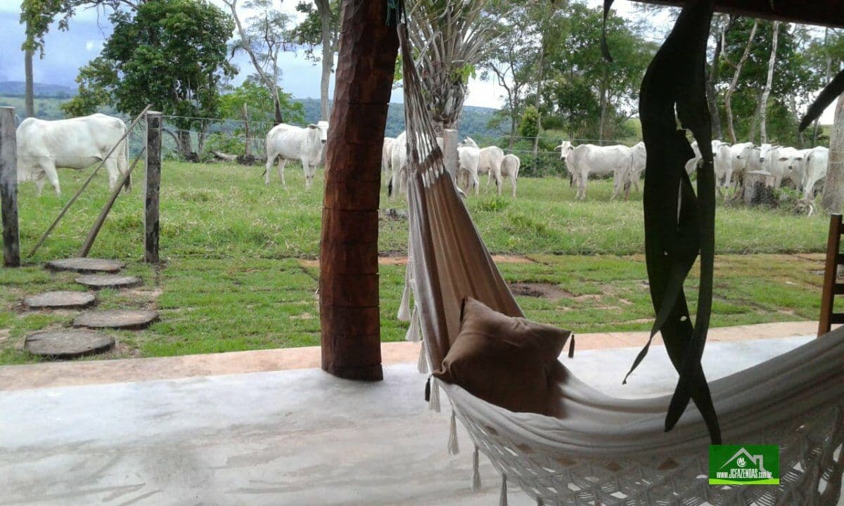 Fazenda-para-Venda-em-Centro-Poxoreo-MT