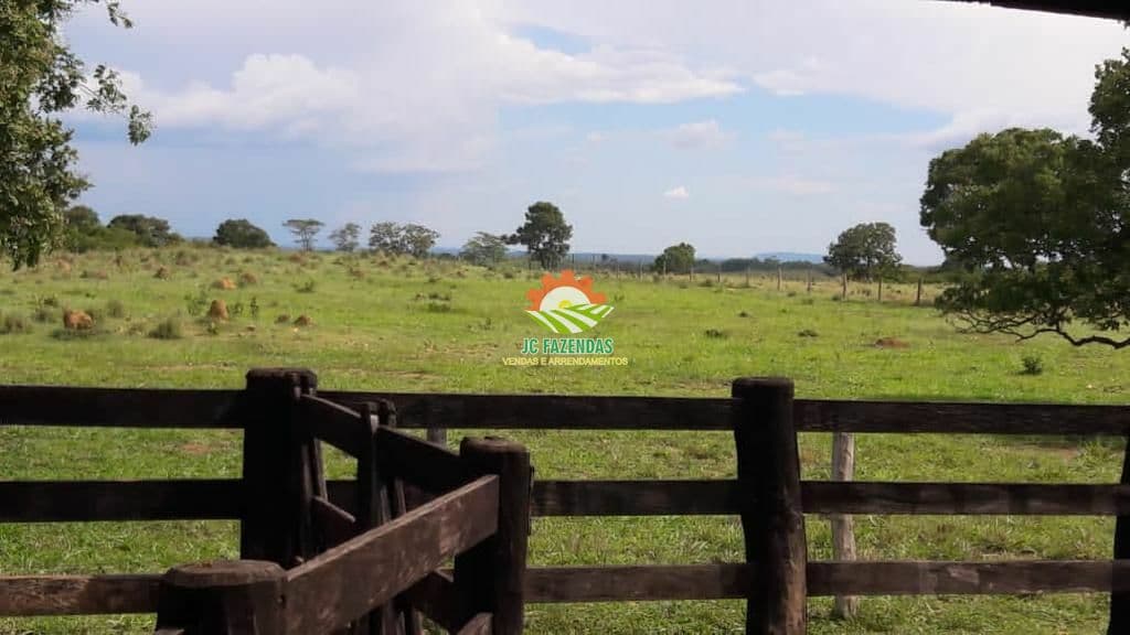 Fazenda Fazenda