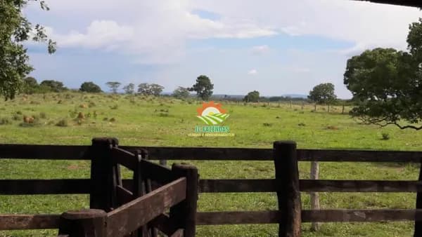 Fazenda Fazenda