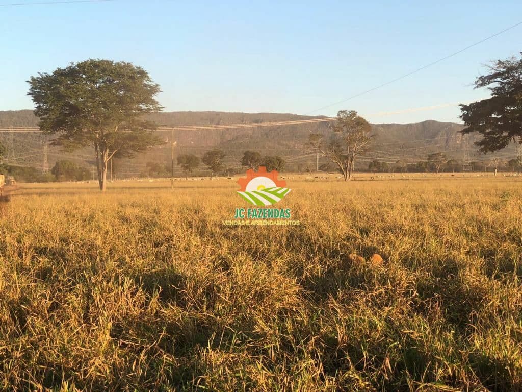 Fazenda Fazenda