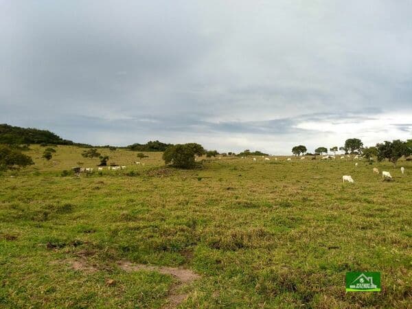 Fazenda-para-Venda-em-Palmeiras-Santo-Antonio-do-Leverger-MT