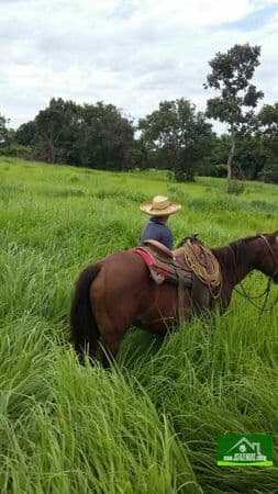 Fazenda-para-Venda-em-Centro-Jangada-MT