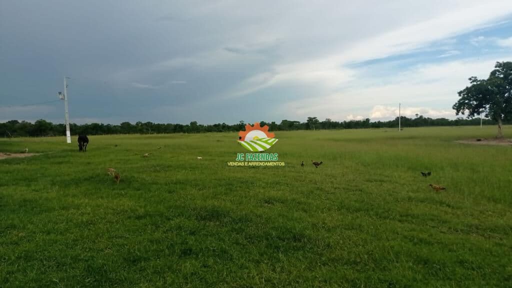 Fazenda 517 Hectares