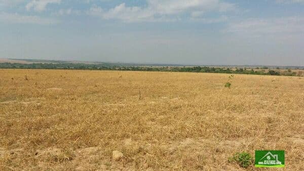 Fazenda-para-Venda-em-Centro-Paranatinga-MT