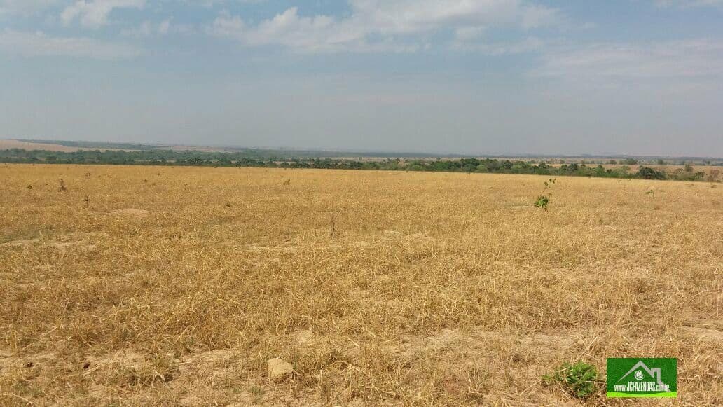 Fazenda-para-Venda-em-Centro-Paranatinga-MT
