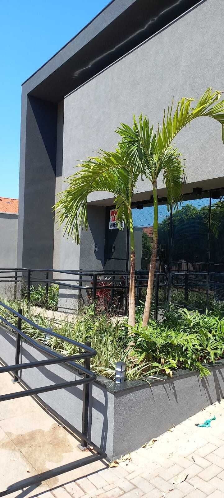 Sala/Conjunto em São José do Rio Preto - Jardim Alto Rio Preto