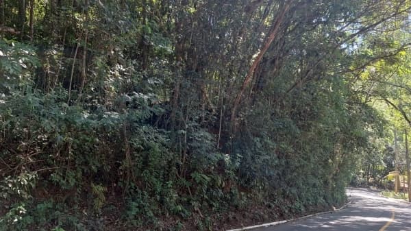 Oportunidade imperdível! Excelente LOTE duplo (2.000 m2) na parte baixa do Condomínio Vila Alpina em Nova Lima.