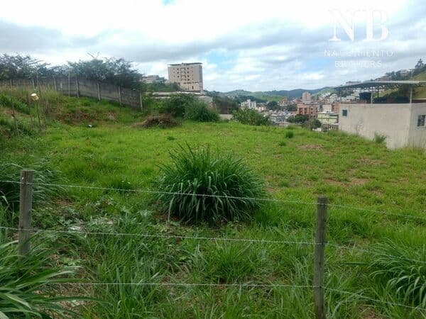 TERRENOS EM NOVA BENFICA A VENDA