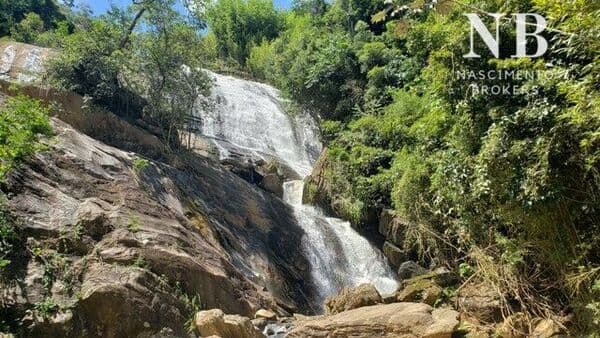 Fazenda/Sítio/Chácara para venda possui 20000 metros quadrados em Centro - Coronel Pacheco