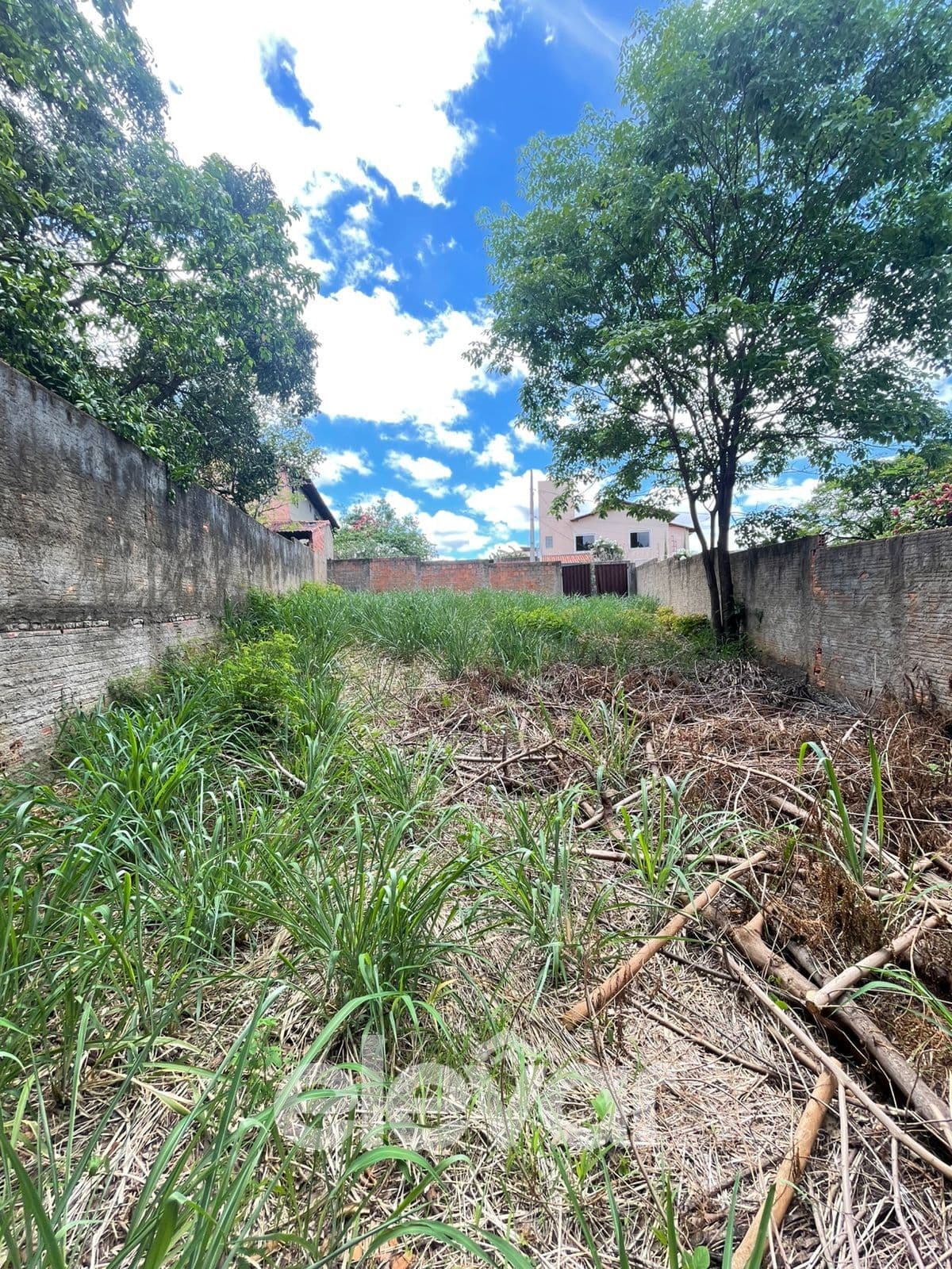 Lote Murado – Bairro Sagrada Família