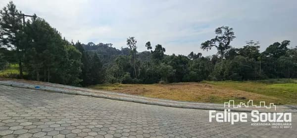 Amplo TERRENO com 35 metros de frente com a Rua
