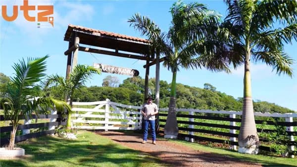 Chácara próxima à BR-277 em São Miguel do Iguaçu - PR
