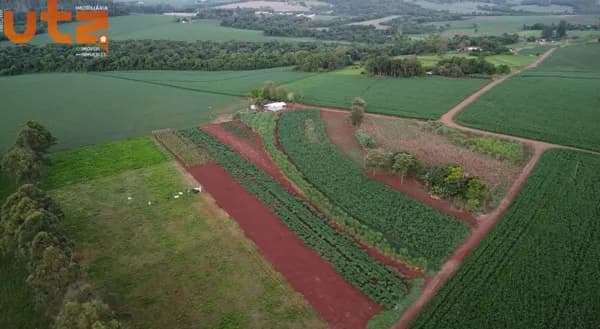 12,6 Hectares na Linha Sávio em Medianeira