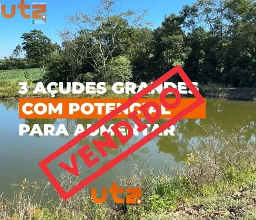 8 Alqueires em São Miguel para diversificação de atividades