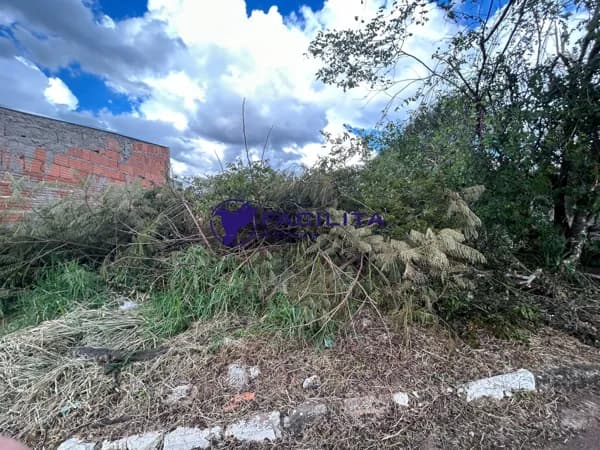 Lote/Terreno em Passos - Jardim Florença