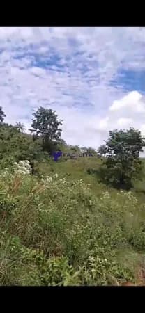 Fazenda/Sítios/Chácaras em Itaú de Minas - Zona Rural