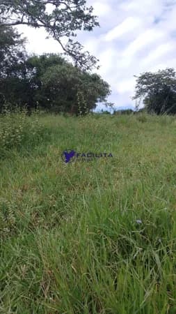 Lote/Terreno em Passos - Polivalente