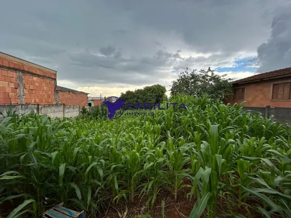Terreno Lote em Aclimação, Passos/MG