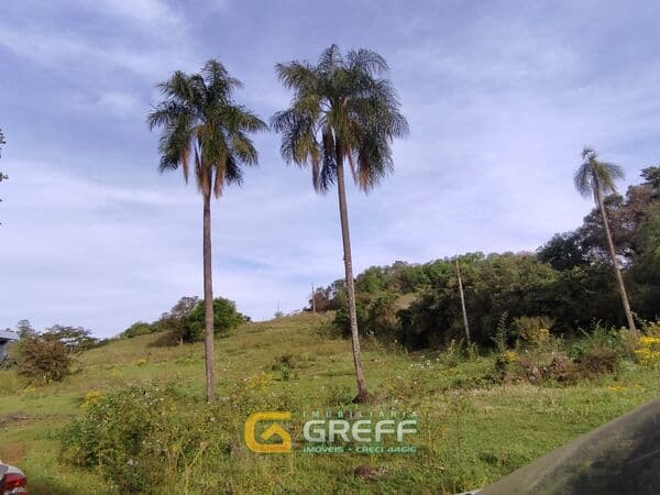 Fazenda/Sítios/Chácaras em Rolador - Centro