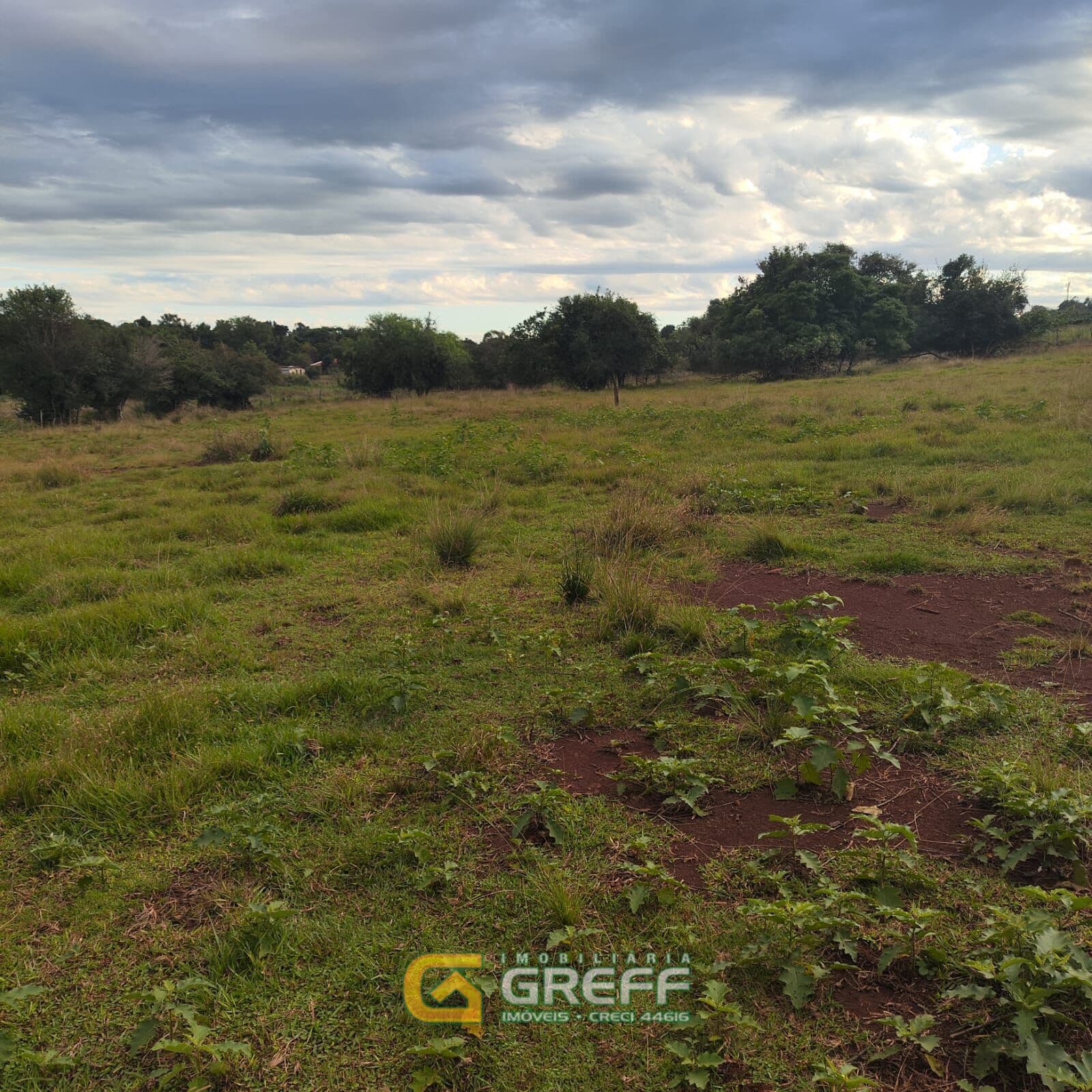 Lote/Terreno em Rolador - Centro