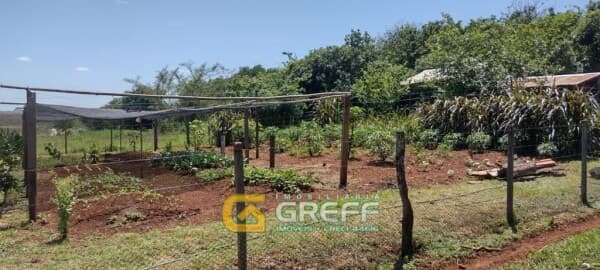 Fazenda/Sítios/Chácaras em Santo Antônio das Missões - Centro