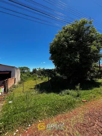 Lote/Terreno em São Luiz Gonzaga - Monsenhor Wolski