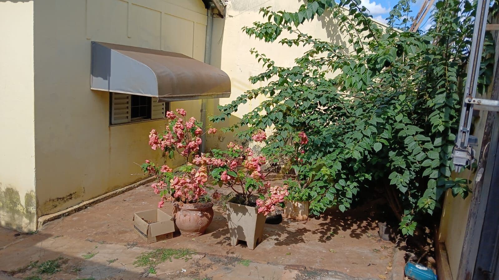 Casa