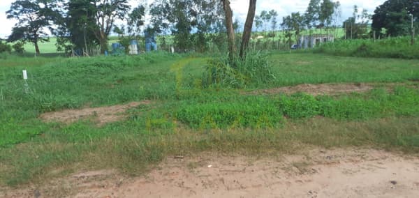 Fazenda/Sítios/Chácaras em Bebedouro - Turvínea